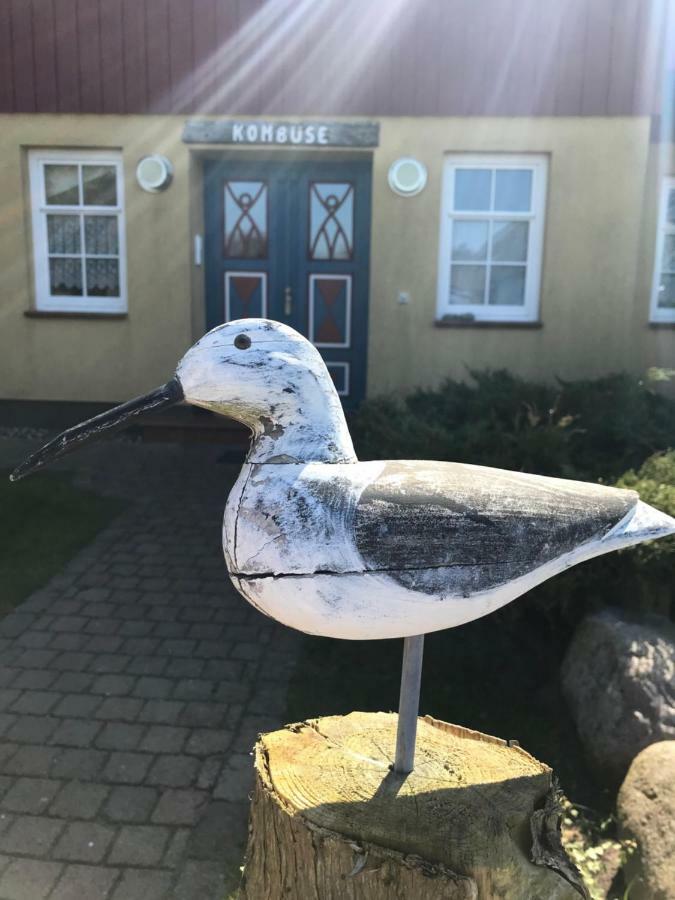 "Kombuese" By Ferienhaus Strandgut Born Eksteriør billede